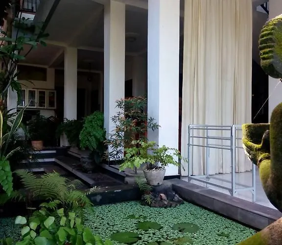 Agus Ubud (Bali)