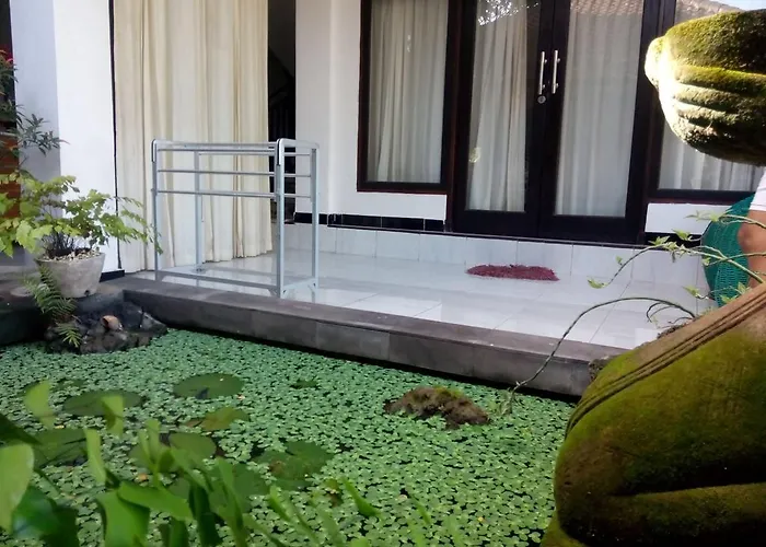 Agus Ubud (Bali)