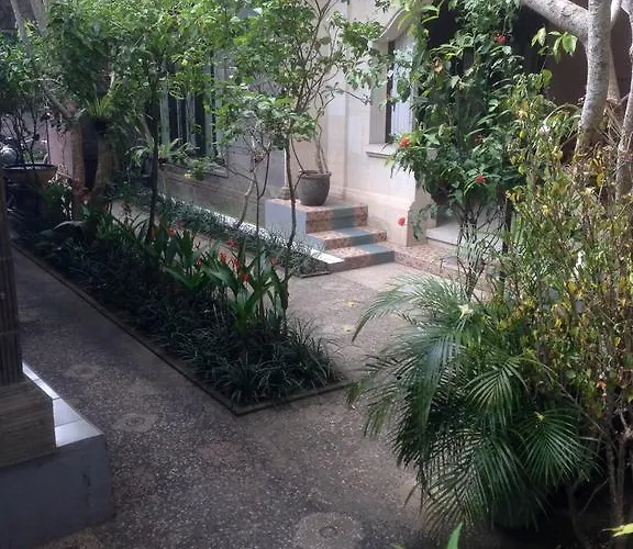 Agus Ubud (Bali)
